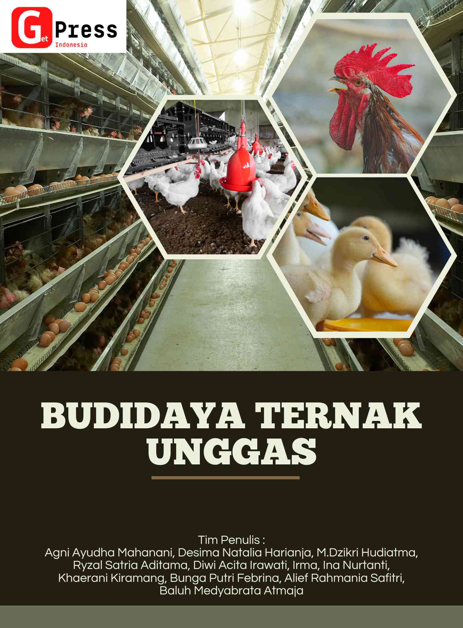 Budidaya Ternak Unggas